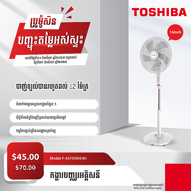 Toshiba Electric Fan 16 inch